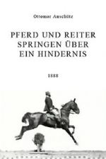 Pferd und Reiter Springen �ber ein Hindernis